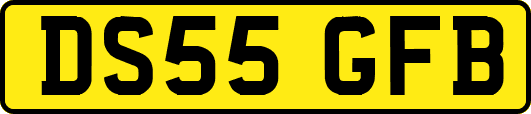 DS55GFB