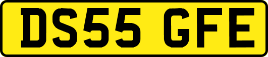 DS55GFE