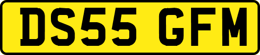 DS55GFM