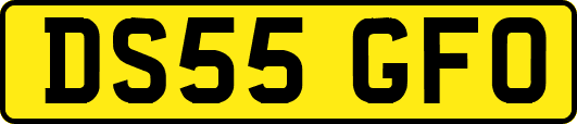 DS55GFO