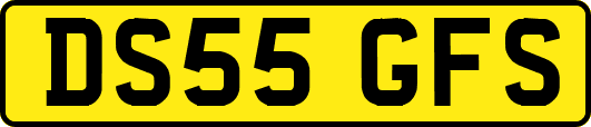 DS55GFS