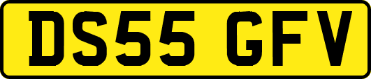 DS55GFV