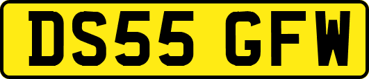DS55GFW