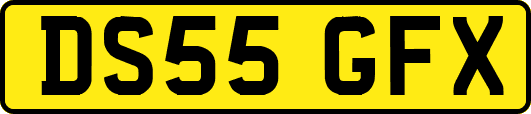 DS55GFX