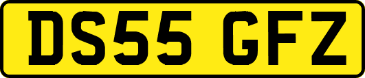 DS55GFZ