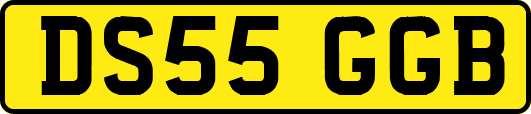 DS55GGB