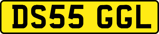 DS55GGL