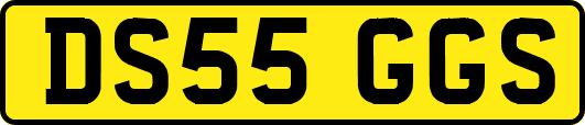 DS55GGS