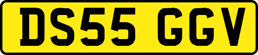 DS55GGV