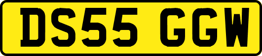 DS55GGW