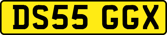 DS55GGX