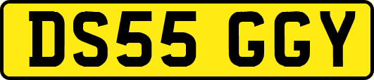 DS55GGY