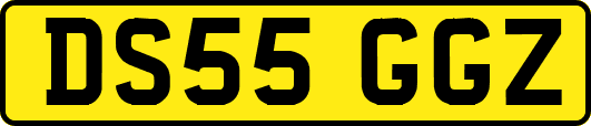 DS55GGZ