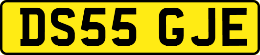 DS55GJE