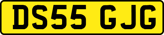 DS55GJG