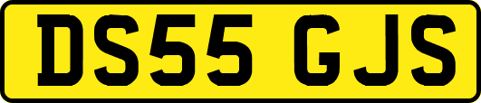 DS55GJS