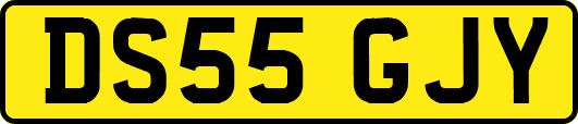 DS55GJY