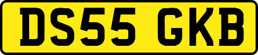 DS55GKB
