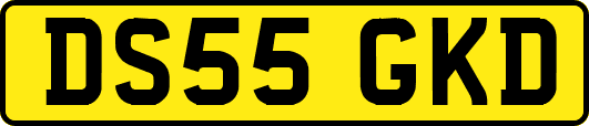 DS55GKD