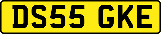 DS55GKE