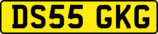 DS55GKG
