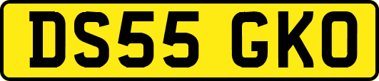 DS55GKO