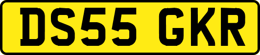 DS55GKR