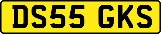 DS55GKS