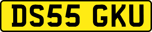 DS55GKU