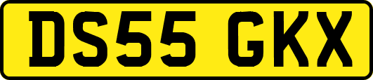 DS55GKX