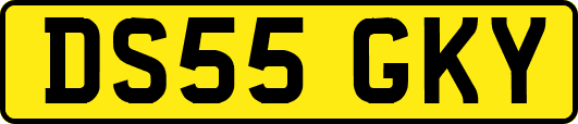 DS55GKY