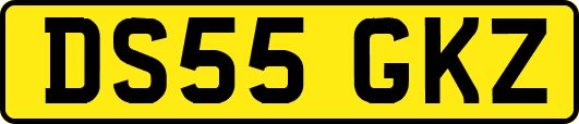 DS55GKZ