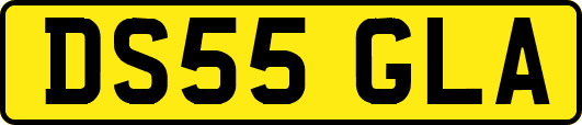 DS55GLA