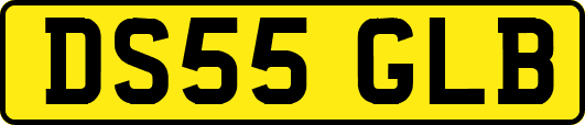DS55GLB