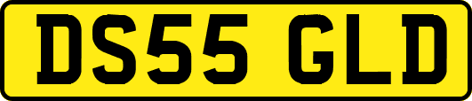 DS55GLD