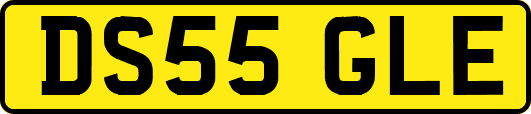 DS55GLE