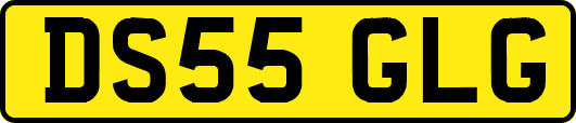 DS55GLG