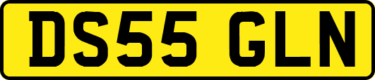 DS55GLN