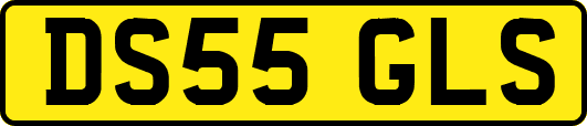 DS55GLS