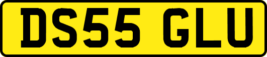 DS55GLU