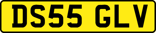DS55GLV