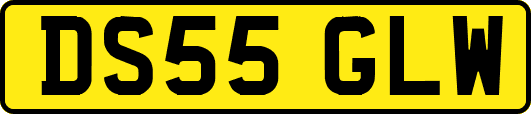 DS55GLW