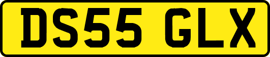 DS55GLX