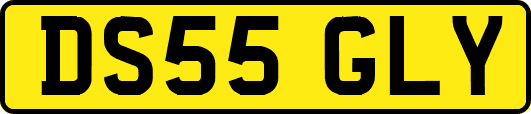 DS55GLY