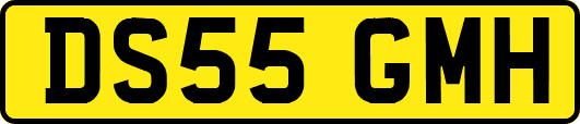 DS55GMH