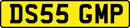 DS55GMP