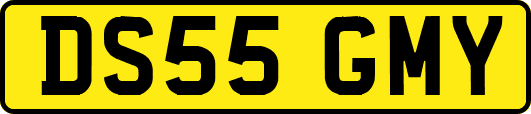 DS55GMY