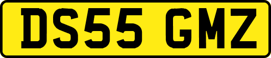 DS55GMZ