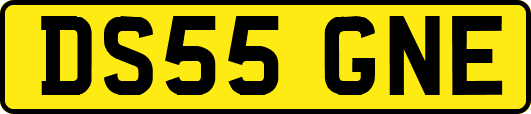 DS55GNE