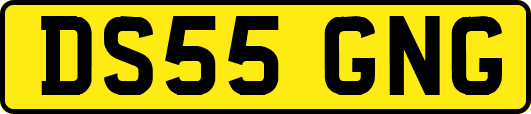 DS55GNG